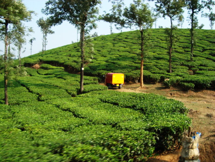 1. Wayanad